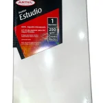 Bastidor Artel Estudio 250 gsm 20x30