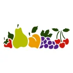 STENCIL FRUTAL MODELO 33X14 CM